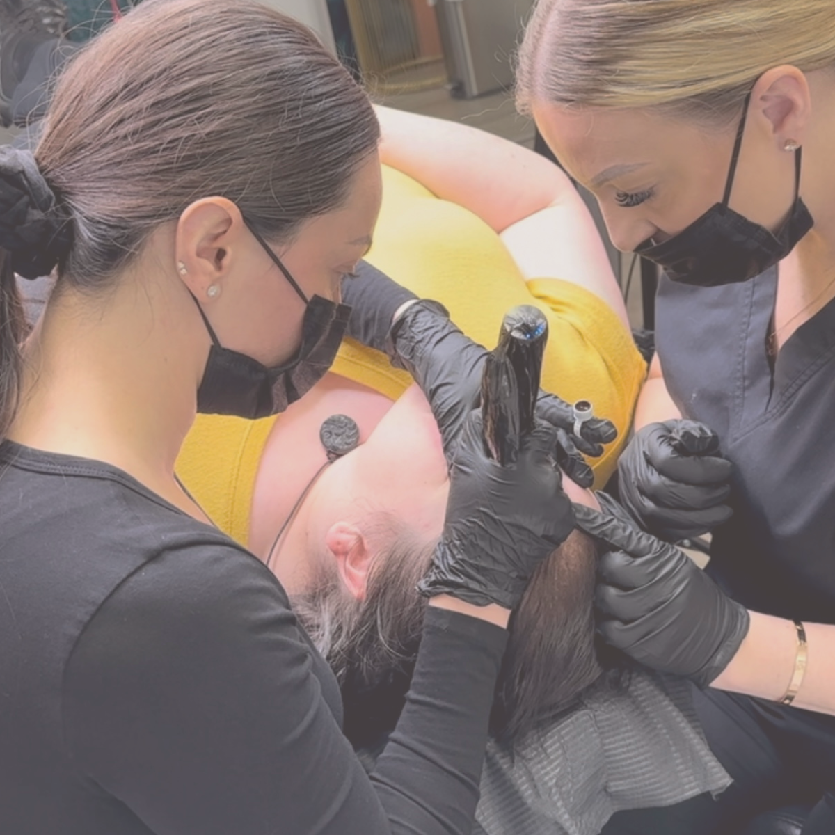 Plush Perfections Nano Brow Training Vancouver Permanent Makeup Powder Brow Microblading Course