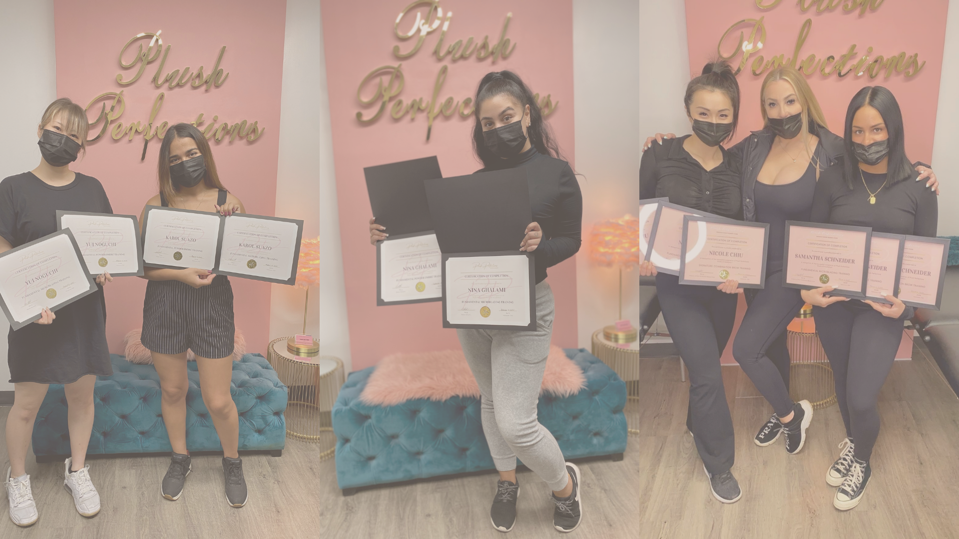 Plush Perfections Microblading, Powder, Nano Brow Training in Vancouver