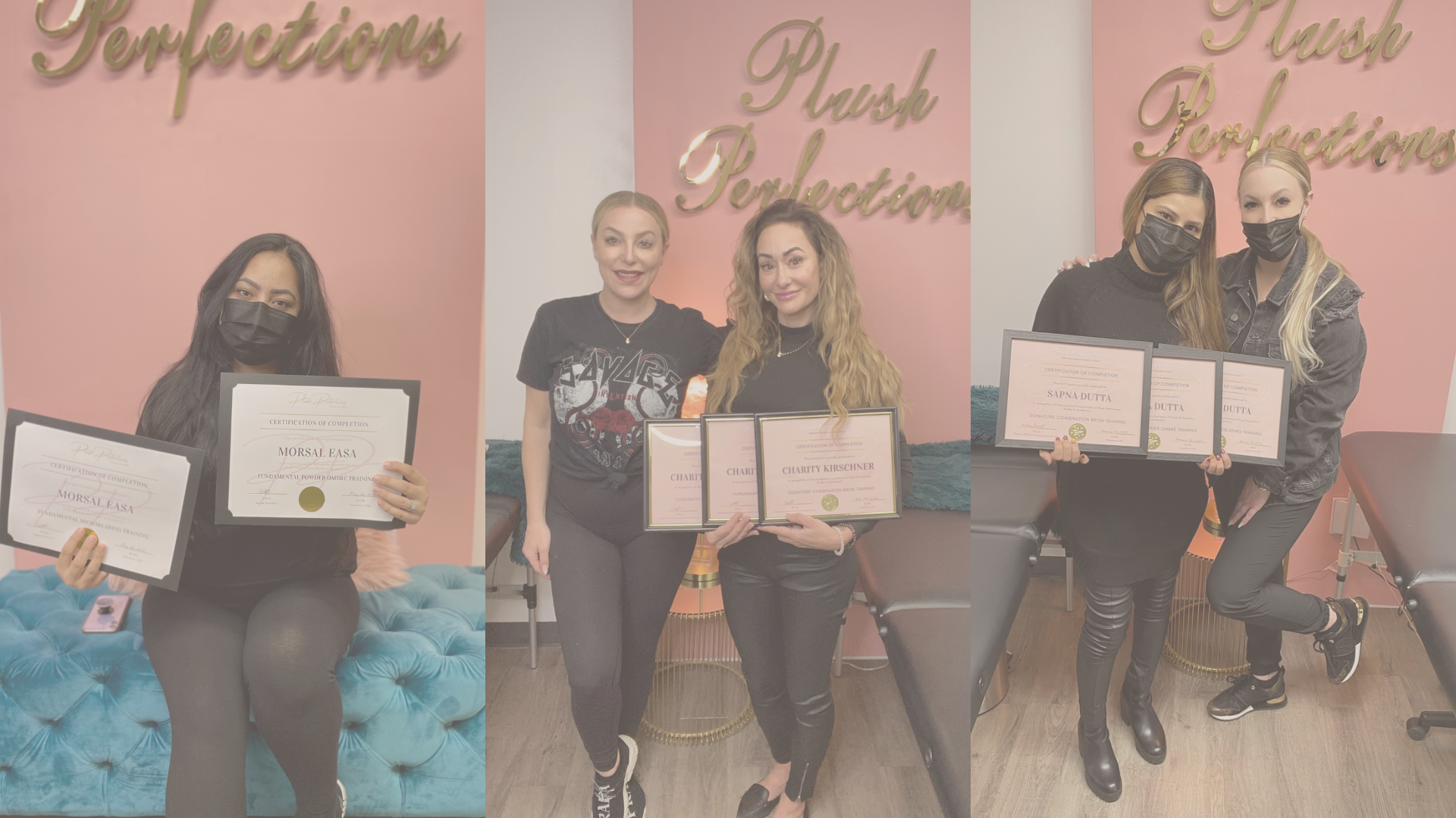 Plush Perfections Microblading, Powder, Nano Brow Training in Vancouver