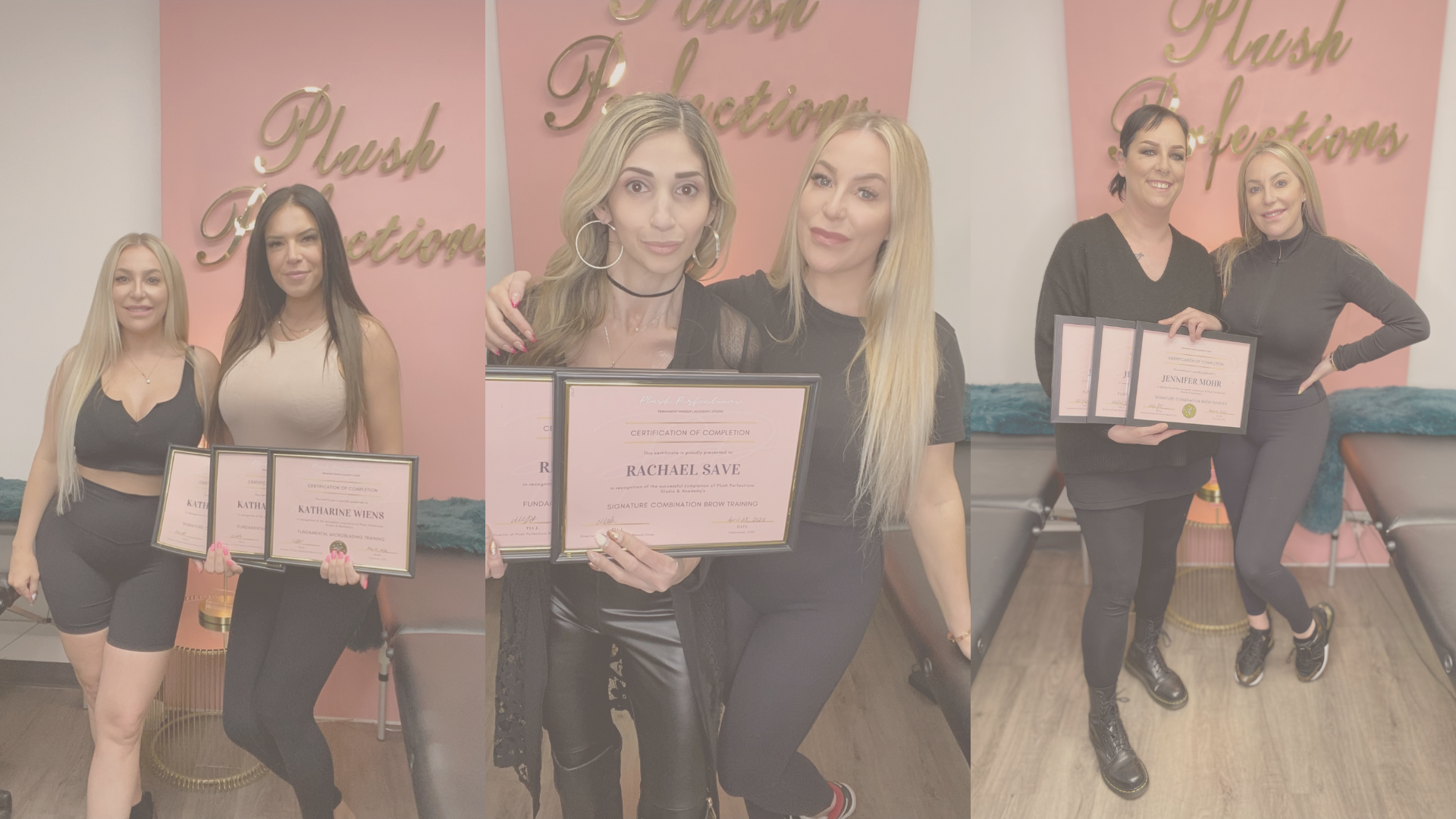 Plush Perfections Microblading, Powder, Nano Brow Training in Vancouver