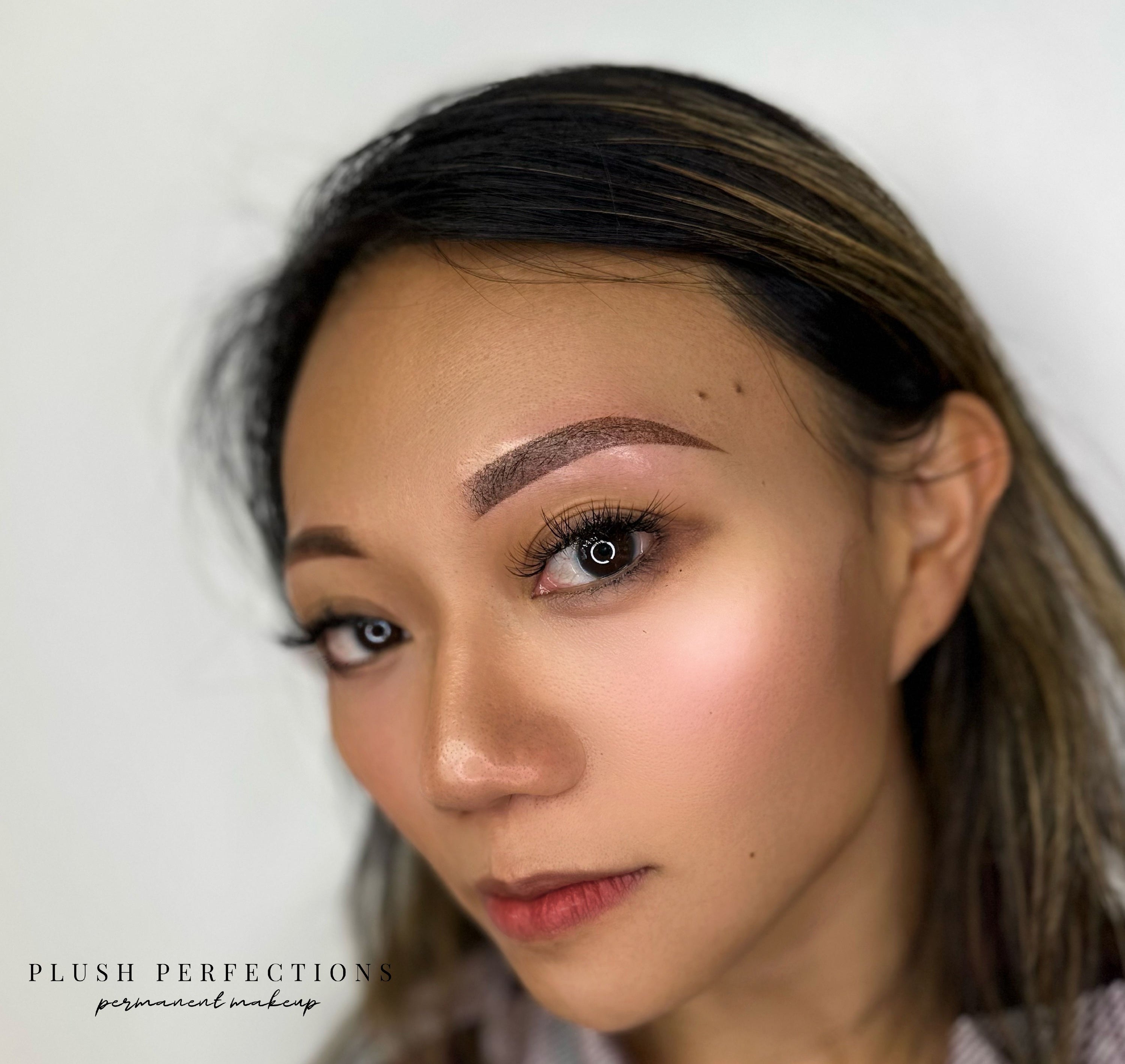 Plush Perfections Powder Ombre in Vancouver Cosmetic Tattoo Eyebrows