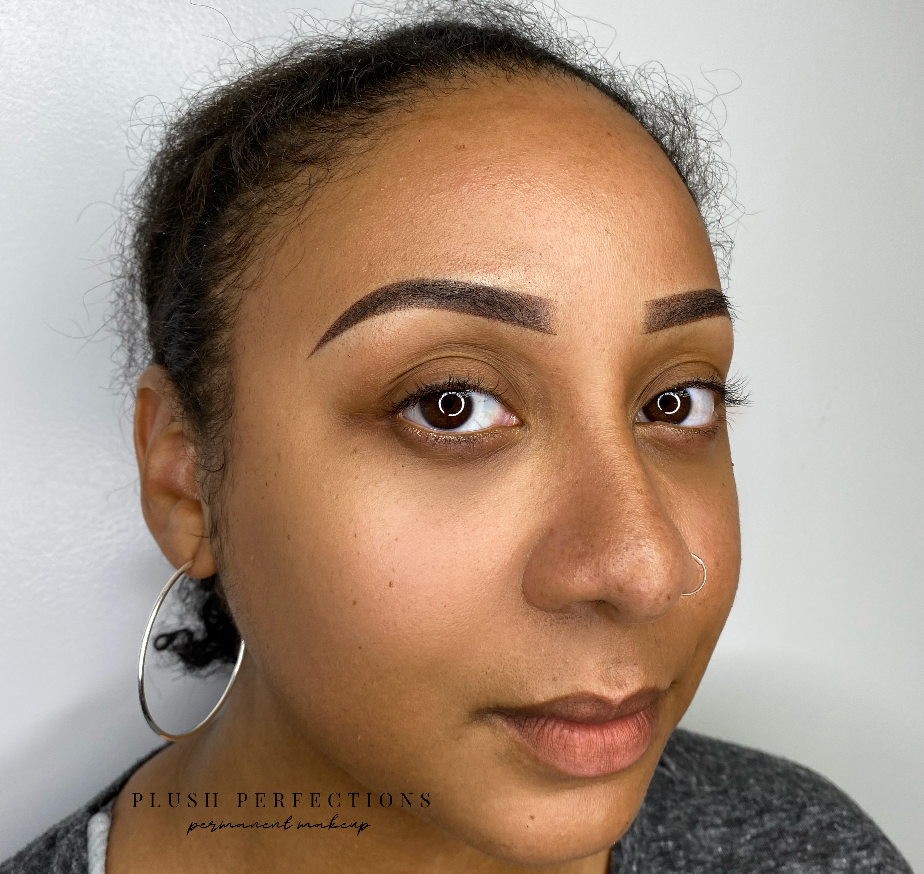 Plush Perfections Powder Ombre in Vancouver Cosmetic Tattoo Eyebrows